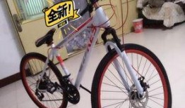 安阳自行车爆料视频最新,揭秘城市交通新现象